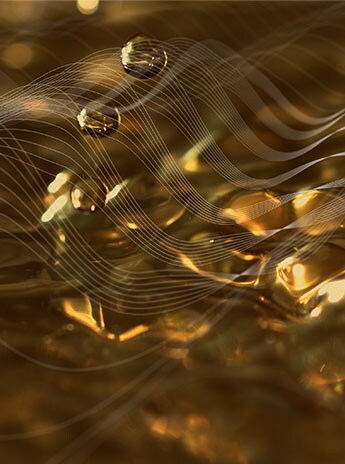 THE GENAISSANCE FERMENT™ 